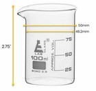 Eisco 100ml Beakers  Low Form  25ml Graduations - Borosilicate Glass - 12pack