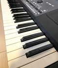 Korg Pa600 Professional Arranger 61-key Keyboard