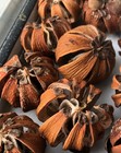 3 Pumpkins Orange 2    Dried