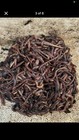 5 000 Red Wiggler Composting Worms 
