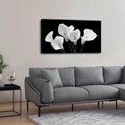 Black And White Wall Art For Bedroom Calla Lily Flowers Canvas Wall Pictures    