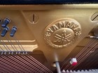 Yamaha U3 Upright Piano  1976 Hamamatsu  Japan  Excellent Condition