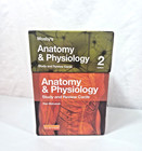 Mosby s Anatomy   Physiology Study And Review Cards 2nd Edition Like New