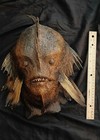 Juan Cabana  Sea Monster Head  Sideshow  Gaff   Mermaid  Taxidermy  Halloween  2