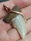 1 7 8   999 Copper Hooked Wrapped Isurus Planus Shark Tooth Necklace Fossil