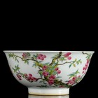 A Pair Chinese Enamel Colour Porcelain Hand Painted Flowers birds Bowl 18076