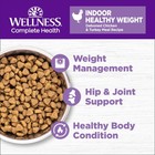Complete Health Adult Dry Cat Food For Indoor Cats  Grain Free  Natural  Heal   