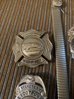 Lot Of Vintage Ellicottville  New York Fire Department Pins badges   Lot Of 7