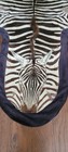 Zebra Hide Animal Skin Rug Black White African Print Decorative