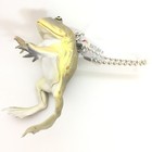Nature Techni Colour Mini Figure Ball Chain Budgett s Hippo Frog Ikimon Japan
