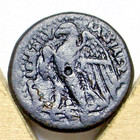 Ptolemy Ii Egypt Ae 22 Alexander Elephant Skin Wings Spread Eagle Theta Coin Fin