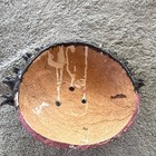 Vintage Mexican Coconut Shell Hand Painted Sun Face Mask