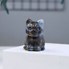 Natural Blue Amphibole Quartz Crystal Stone Carved Lucky Cat Statue Reiki Decor
