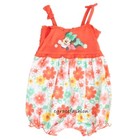 Disney Minnie Mouse Baby Layette Girl 1 Pc Ruffle Floral Bubble Romper Outfit 6m