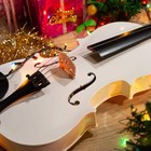 New 4 4 Full Size White Color Acoustic Violin Fiddle   Case   Bow   Rosin