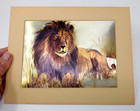 Carole Hoss 1980 Wood Framed Art Foil Glistening Foil Print African Savanah Lion