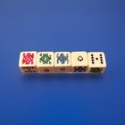 Set Of 5pcs Six Sided Dice  Ace king queen  Poker Game Strategy Card Included
