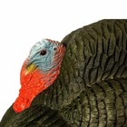 Primos Gobbstopper Strutter Turkey Hunting Decoy W  Stake  69076