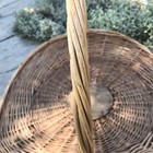 Large Gathering Basket Handled French Antique Vintage Woven Newborn Photography