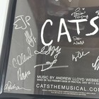 Cats The Musical Cast Signed Autographed Poster Broadway Framed 20  Signatures