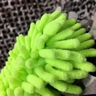 New Exalt Paintball Washable Pod Swab squeegee Cleaner Replacement Cover - Lime