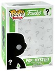 Mystery Funko Box 