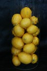Realistic Artificial Faux Fake Food Display Replica Props 24 Yellow Lemons Fruit