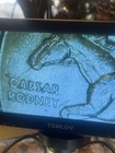 1999 Delaware State Quarter   rare   Spitting Horse 