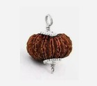 Fourteen Mukhi  14 Face Natural And Certified Nepal Rudraksha Pendant