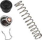 Thermal Regulator Kit Compatible W  Pentair Mastertemp Starite Pool Heater
