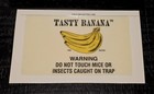 Catchmaster Banana Flavor Glue Board Mouse Traps Insects Roach Traps  12  