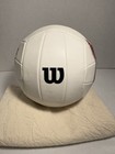 Wilson Cast Away 5    Mini Avp Volleyball Official Hand Face  2001 Fox 
