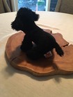 Ganz Webkinz Poodle Plush Hs191  Black Stuffed Dog Puppy Unused Code