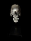 Vintage Columbia Dentoform Dental Phantom Skull Teeth Aluminum Manikin Model