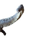 Papo Apatosaurus Dinosaur Prehistoric Movable Jaw 16  Figure Model 55039 2015