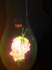 Vtg  Duro-lite  aerolux Type  Large Field Flowers Light Bulb With Box