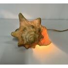 Vtg Conch Shell Seashell Table Lamp Night Light Nautical Ocean Beach Decoration