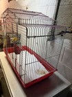 Prevue Pet Products Cockatiel Flight Cage Large Red White Metal Plastic