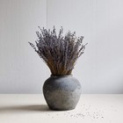 Dried Lavender