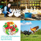 100 Pcs Adjustable Poultry Leg Bands  5 Color Numbered Chicken Identification   