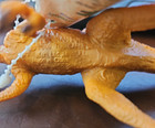 The Carnegie Collection Safari Ltd -velociraptor- Dinosaur-w tag-2002