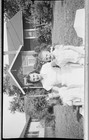 Lot Of 10 Vintage Found Film Photo Snapshot Negatives 1940s All Shown In Photos 
