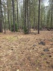 Gold Claim 20 Acre Mineral Mining Prospecting Susan River Lassen Nuggets Fun