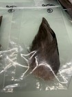 Green Wing Teal  Complete Wing  Feather Sets Left And Right  40