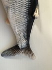 Crucian Carp Fish 12 Inch Stuffed Animal Plush Toys Toddler Doll Kids Gifts 