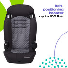 Cosco Kids Finale 2-in-1 Toddler Booster Car Seat  Peony Tiles Ii  Harness Boost