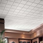 Armstrong 2722a Ceiling Tile 48 In L 24 In W pk10 32wm08