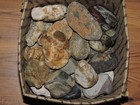 Lot Of Small To Medium Mixed Pnw Agatized   Banded Chert Stone Nodules  10 Lb  