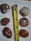 6 Beautiful Polished Stones for  Collectors jewelry Makers etc  See Pics  1864
