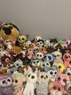 Giant Beanie Boo Lot  over 100  Great Quality